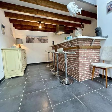 Villa Maison 2 Pieces 4 Couchages Pierre D'oleron Spo000-491 *